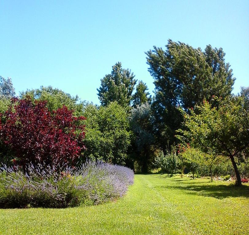 Ca Morari Bed & Breakfast Argenta Exterior foto