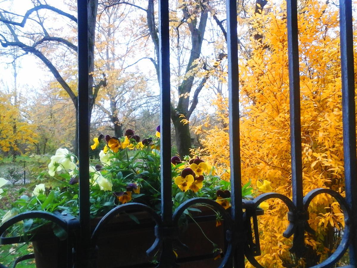 Ca Morari Bed & Breakfast Argenta Exterior foto
