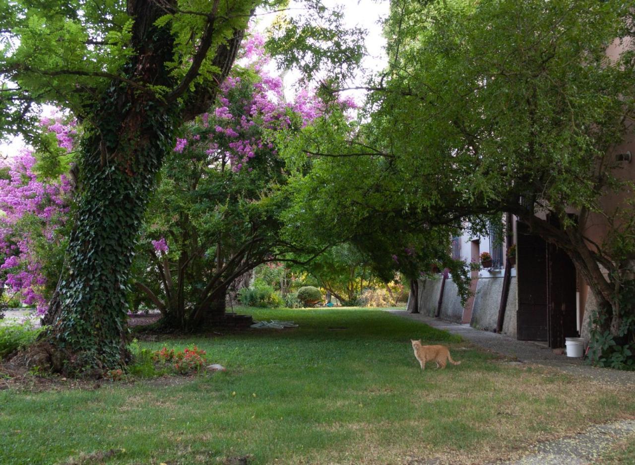 Ca Morari Bed & Breakfast Argenta Exterior foto
