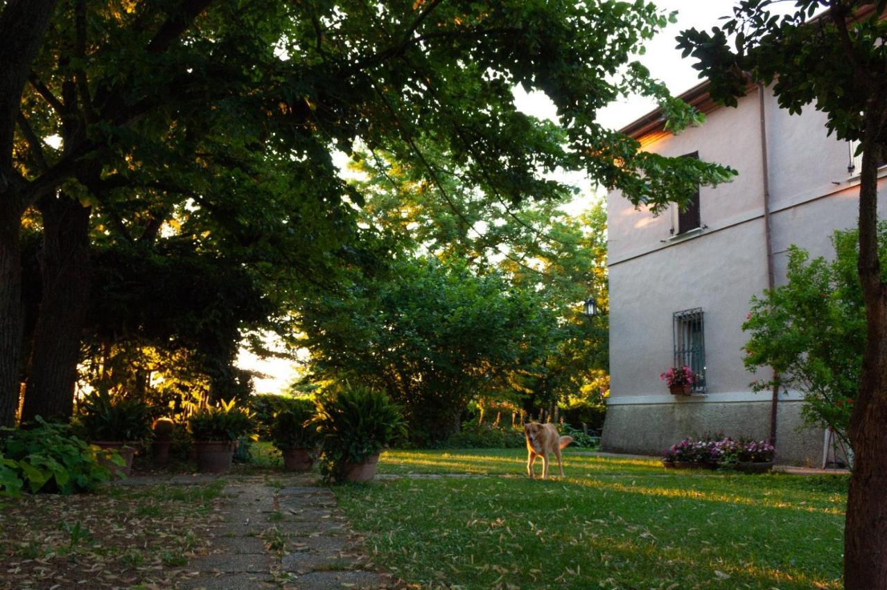 Ca Morari Bed & Breakfast Argenta Exterior foto
